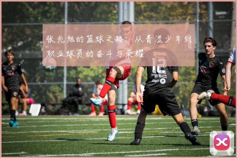 张兆旭的篮球之路：从青涩少年到职业球员的奋斗与荣耀