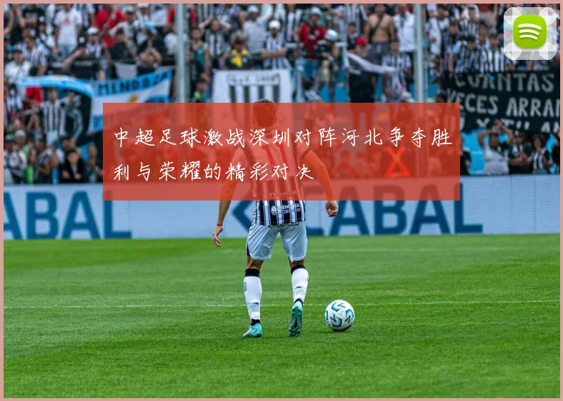中超足球激战深圳对阵河北争夺胜利与荣耀的精彩对决