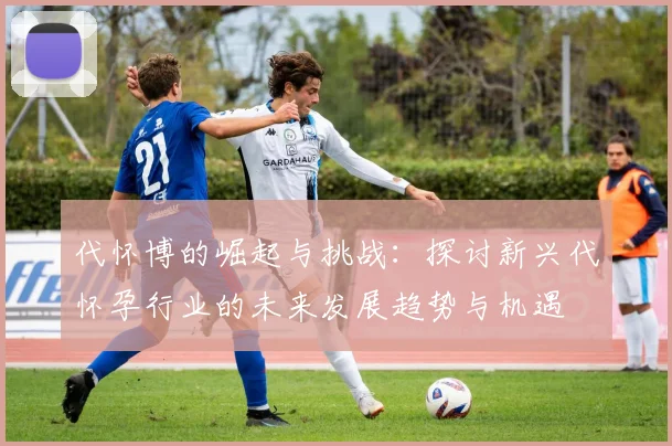 代怀博的崛起与挑战：探讨新兴代怀孕行业的未来发展趋势与机遇