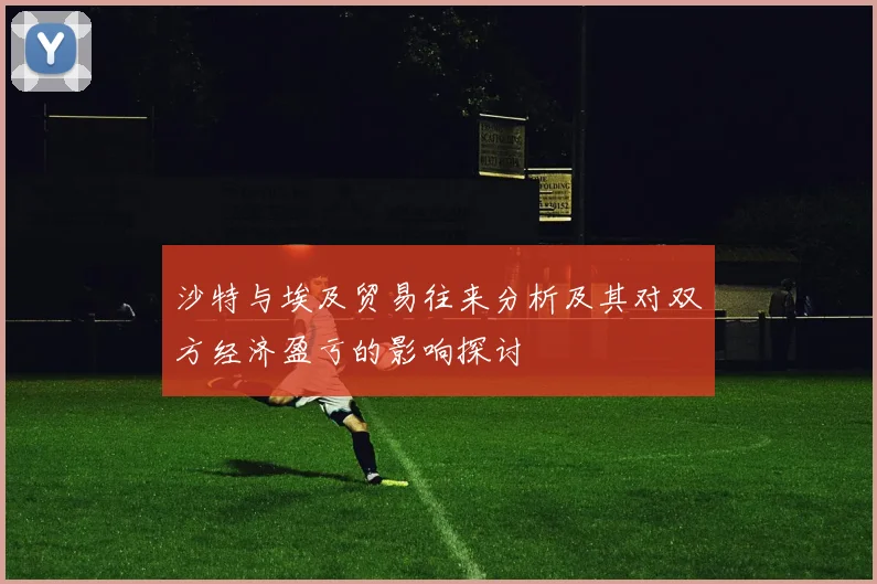 沙特与埃及贸易往来分析及其对双方经济盈亏的影响探讨