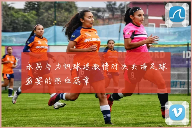 永昌与力帆球迷激情对决共谱足球盛宴的热血篇章