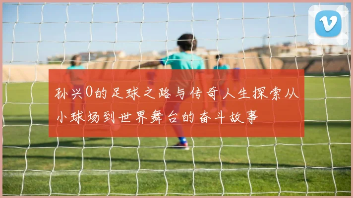 孙兴O的足球之路与传奇人生探索从小球场到世界舞台的奋斗故事