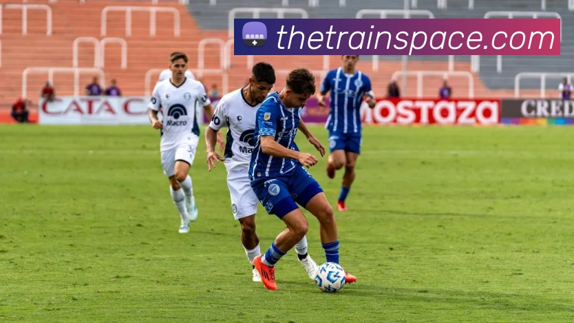 米兰体育平台生态图